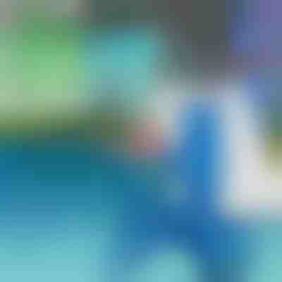 Odkurzacz Basenowy z Głowicą Ssącą | POOLOOVER