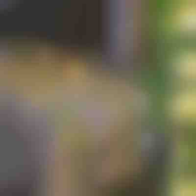 Lampki Solarne ze Sztucznymi Liśćmi Bluszczu (5 m) | LEAFGLO