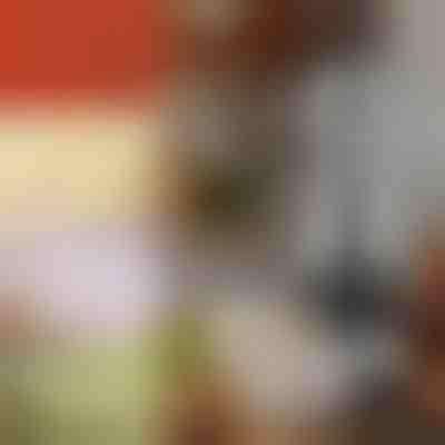 Ręczna krajalnica do warzyw | CHOPSTER