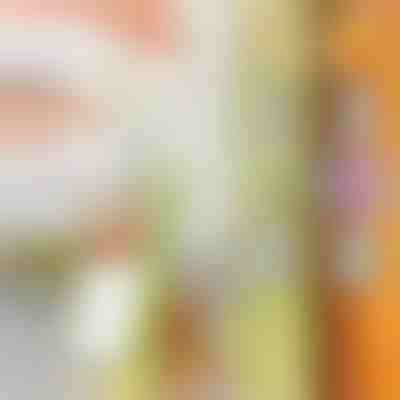 Wielofunkcyjny rozdrabniacz | SLICEWISE