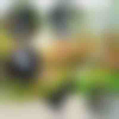 Narzędzie ogrodowe 4 w 1 | VERSAX