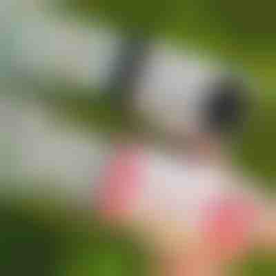 Pistolet na bańki LED z 69 otworami | BUBBLEPUFF