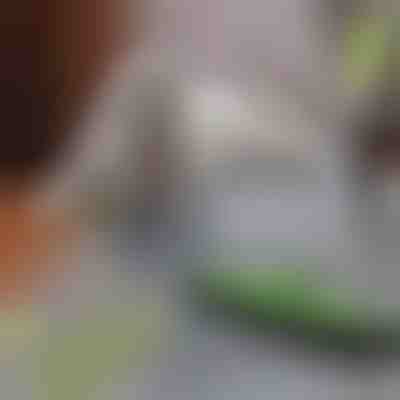 Mop do usuwania sierści zwierząt | PAWMOP