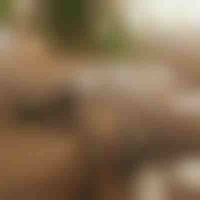 Magnetyczny organizer kabli z klejem | CABLIP