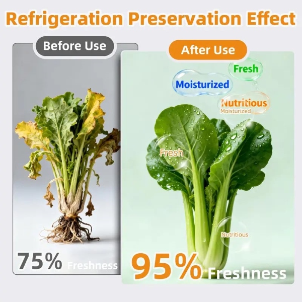 REUSEFO-3831127628262-EN-2__101225